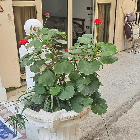 Apartmán Dr House Golem (Tirana)